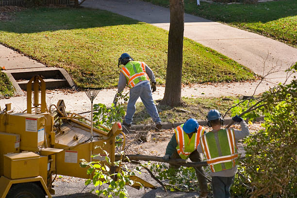 Lawn Watering Services in Mcsherrystown, PA